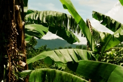 Costa Rica (2003)