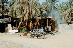 Siwa Oasis, Egypt (2002)