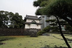 Imperial Palace - Tokyo, Japan (2017)