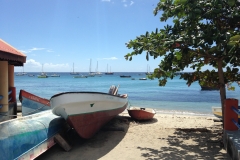 Martinique (2016)