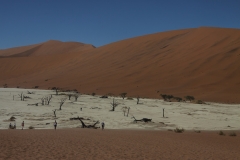 Deadvlei, Namibia (2014)