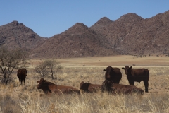 Sossusvlei, Namibia (2015)