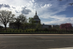 The U.S. Capitol - Washington DC (2016)