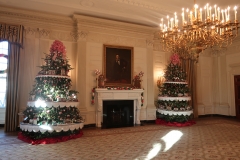The White House - Washington DC (2016)