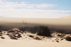 Western Desert, Egypt (2002)