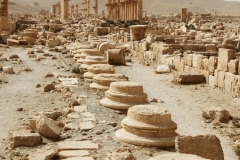 Palmyra, Syria (2010)