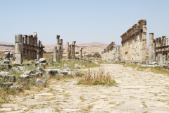 Apamea, Syria (2010)