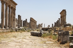 Apamea, Syria (2010)