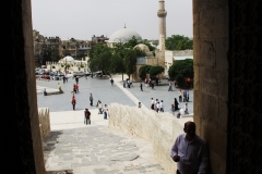 The Citadel - Aleppo, Syria (2010)